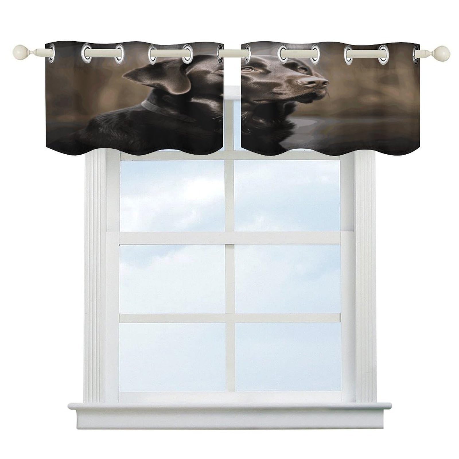 Fekiloot Style Labrador Retriever Short Curtains Valance Curtain