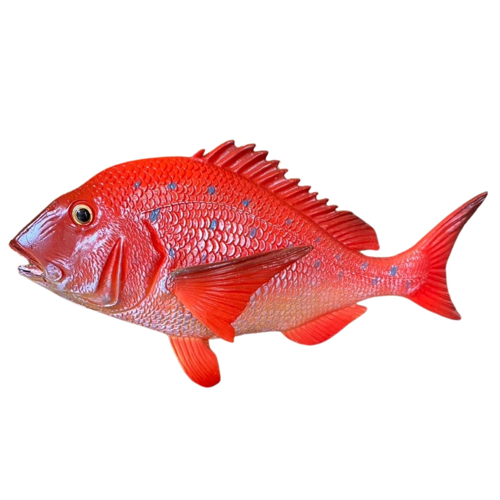 Amazon.co.jp: [S.T.S.G] 鯛 チヌ 魚 クロダイ 黒鯛 置物 置き物