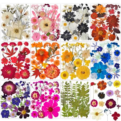 320PCS Dried Pressed Flowers Bulk for Resin, YouthBro Real Natural Pressing Flowers with Two Sheets Butterfly Stikers for Mold DIY Art Crafts,Home Décor,Cherish