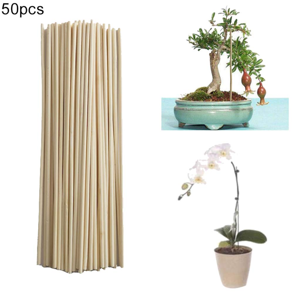 pix Bamboo Sticks For Plant Support Amazon constr plant grow stick garden