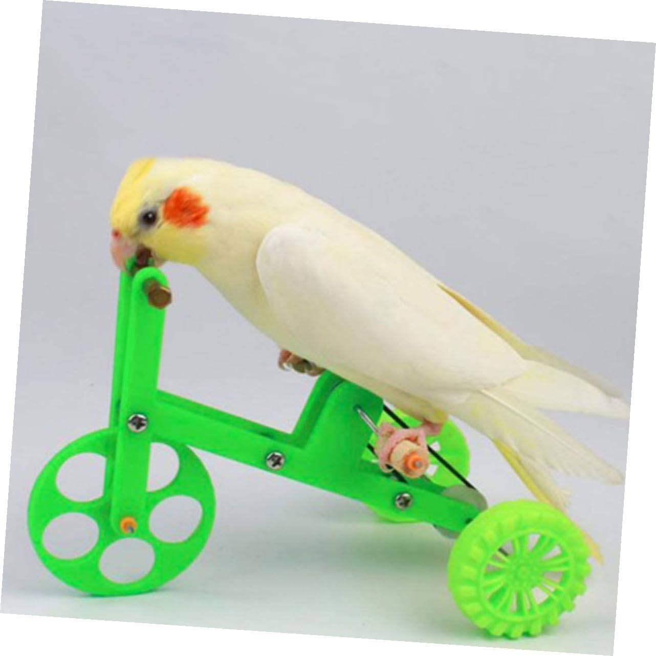 BESPORTBLE 4juegos Juguete De Entrenamiento para Loros Bicicleta y Anillos De Inteligencia Juguete Educativo para Aves Interacción y Actividad Física para Ninfas y Agapornis