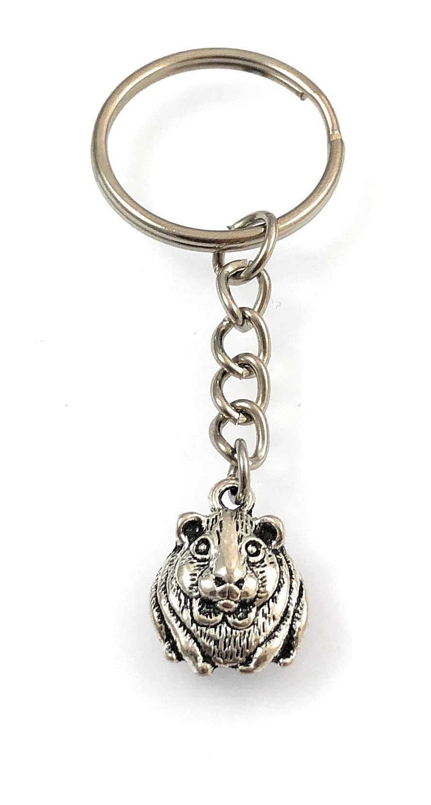 FizzyButton GiftsGuinea Pig Keyring Key Ring with Small Silver Tone Charm and Silver Tone Keychain
