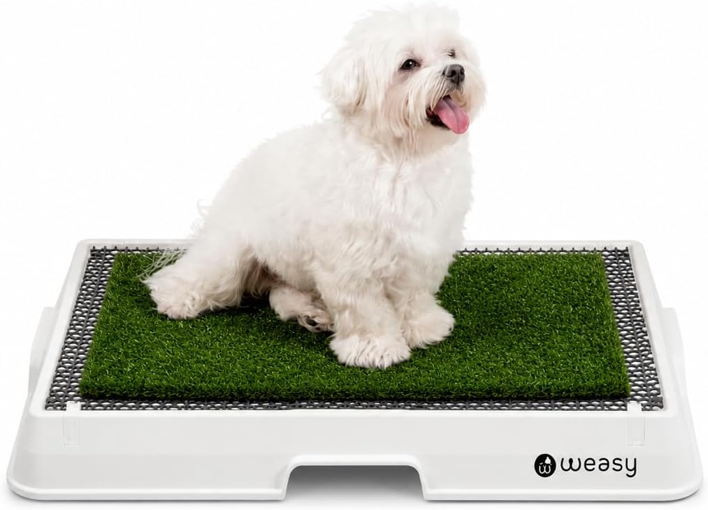 Weasy Indoor Dog Potty Tray with Drain Hose | Reusable Dog Toilet | Potty Training System | Compatible with Weasy Bag