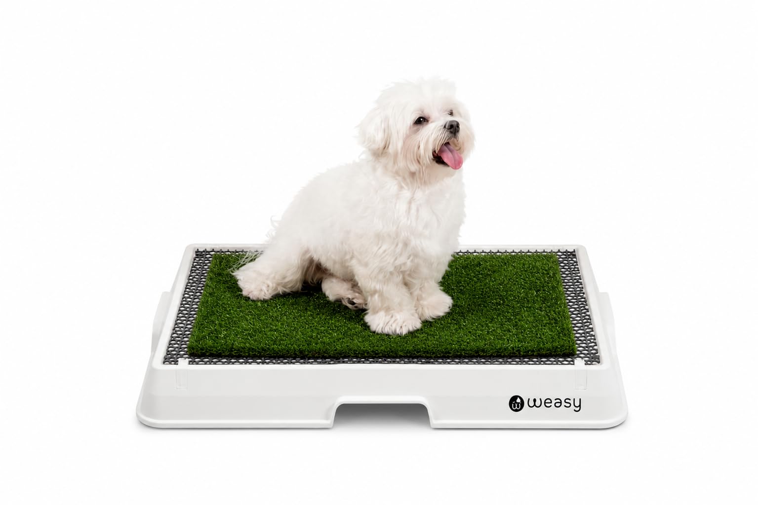 Photo 1 of Weasy Indoor Dog Potty Tray with Drain Hose | Reusable Dog Toilet | Potty Training System | Compatible with Weasy Bag