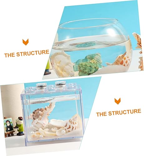 Miniatura 9 de Garneck 4 juegos de conchas marinas paisajismo de varios tamaños conchas marinas, floreros decorativos de conchas marinas artesanales, decoración de