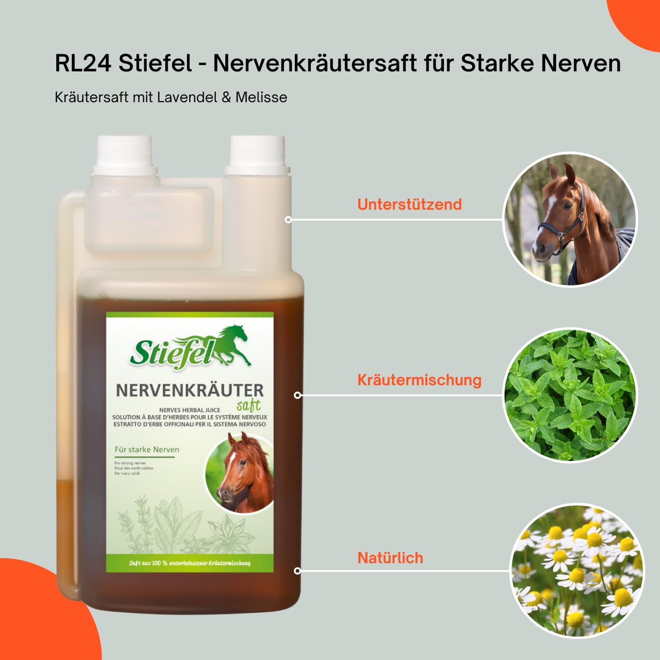 RL24 Stiefel - Nervenkräutersaft für Starke Nerven – 5 x 1000 ml | (5er Set) – Flasche – Kräutersaft mit Lavendel – Ergänzungsfuttermittel für nervöse & gestresste Pferde