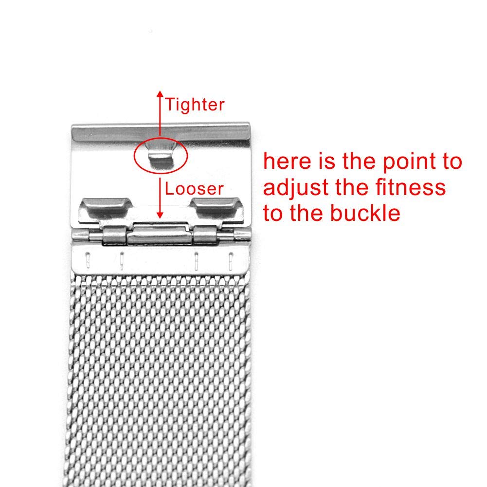 Replacement Watch Band for Skagen Mens Watches 30mm with Screws (silver)