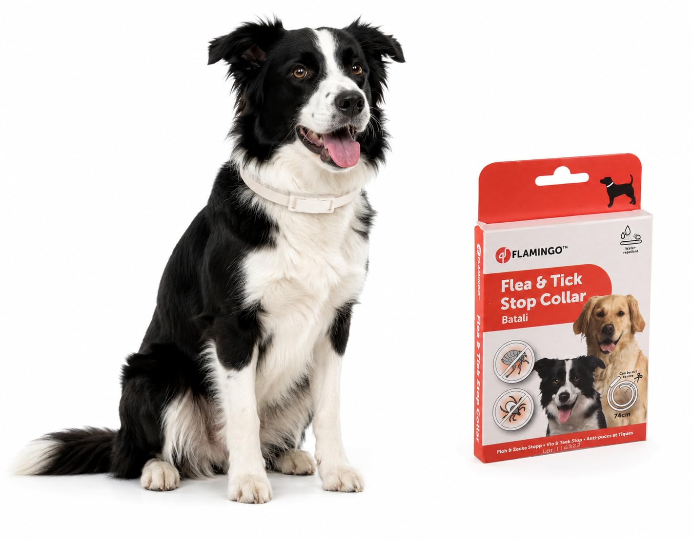 Hundebedarf