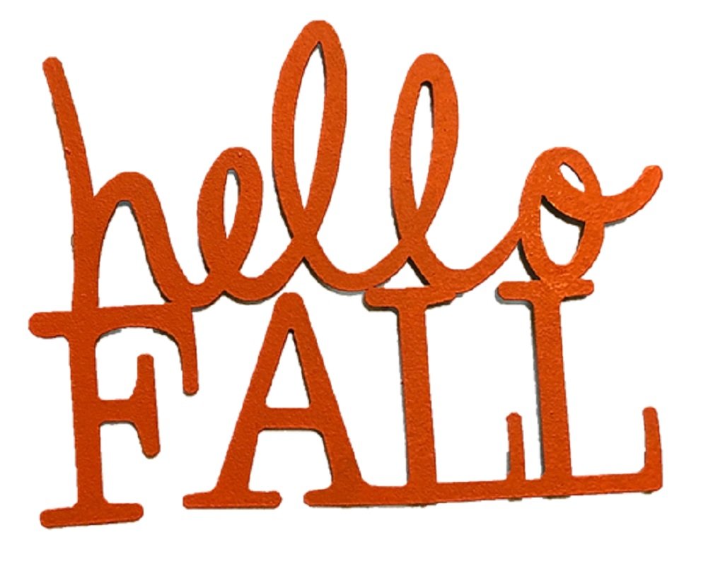 Roeda Brighten Your Life 13399O Hello Fall Word in Orange Magnet Made in USA