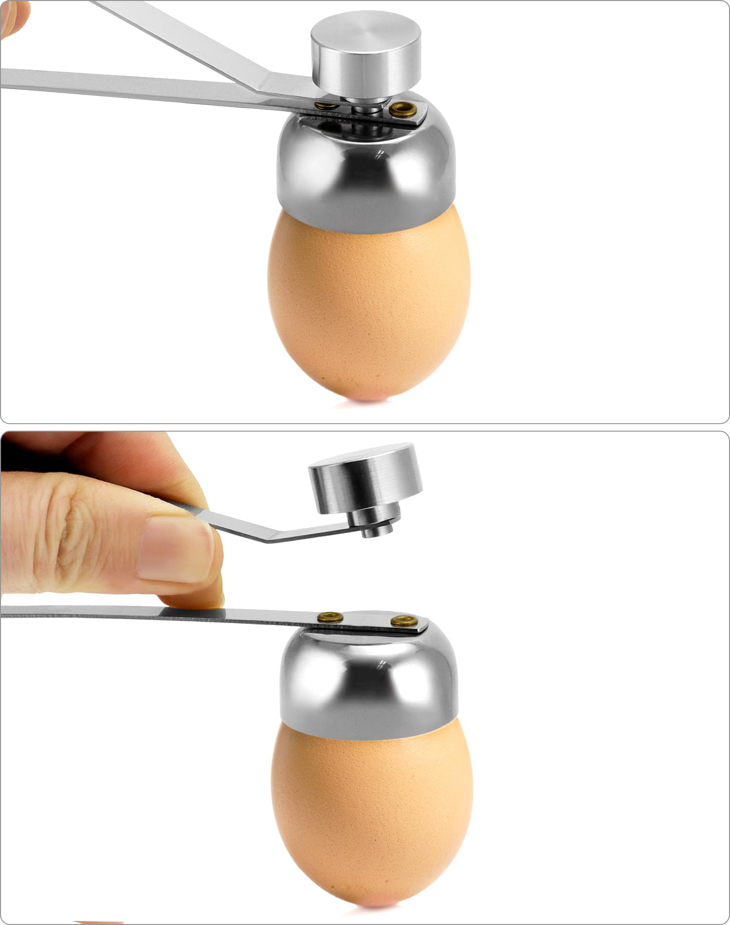 Ouvre Œuf à La Coque QWORK - Coupe Coquille Acier Inoxydable - Pour Œufs Durs Et Crus