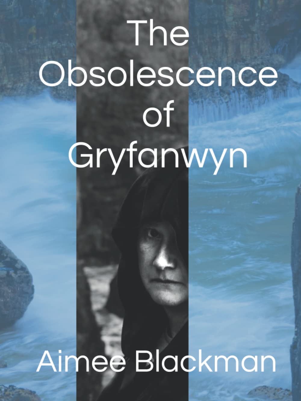 The Obsolescence of Gryfanwyn livre de fiction fantastique et roman narratif captivant