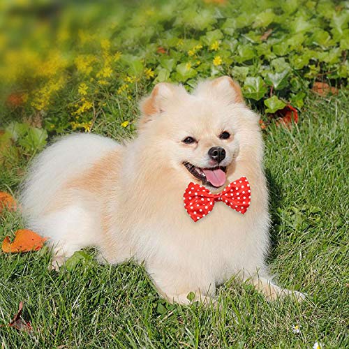 YUEPET 30 Pieces Pets Dog Bow Ties & Neckties Assorted Adjustable Dog Bow Ties Birthday Photography Festival Party Neckties Pet Costume Necktie Collar Grooming Accessories for Puppy Dogs Cats