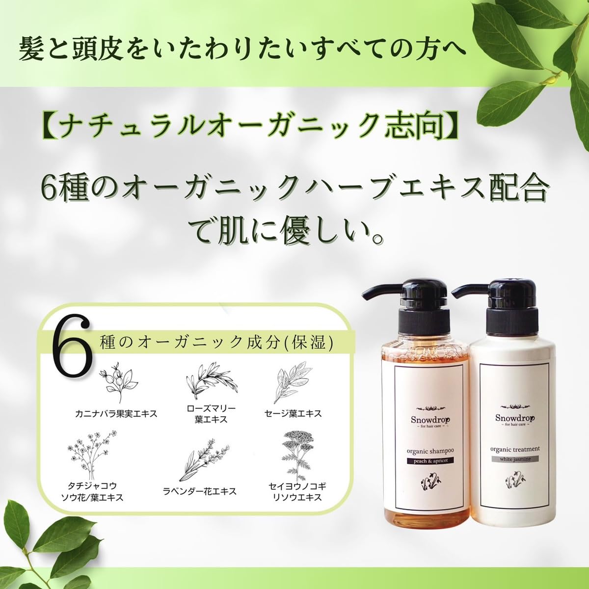 Amazon | 【子供も一緒に使える】 Snowdrop オーガニック シャンプー