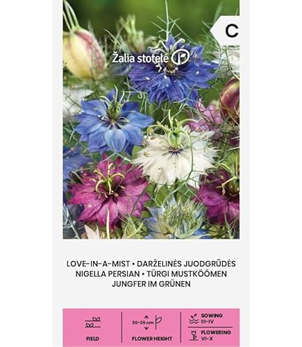 Zalia stotele | Jungfer im Grünen samen | Blumensamen | Pflanze samen | Gardensamen | Die einjährige krautige und sehr pflegeleichte Pflanze | Die Samen können als Gewürz verwendet werden | 1 Pack