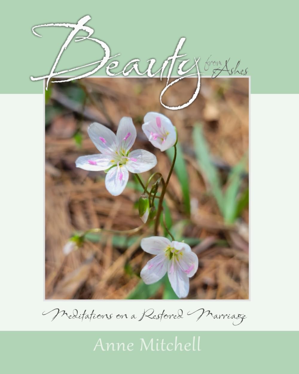 Beauty from Ashes: Meditations on a Restored Marriage