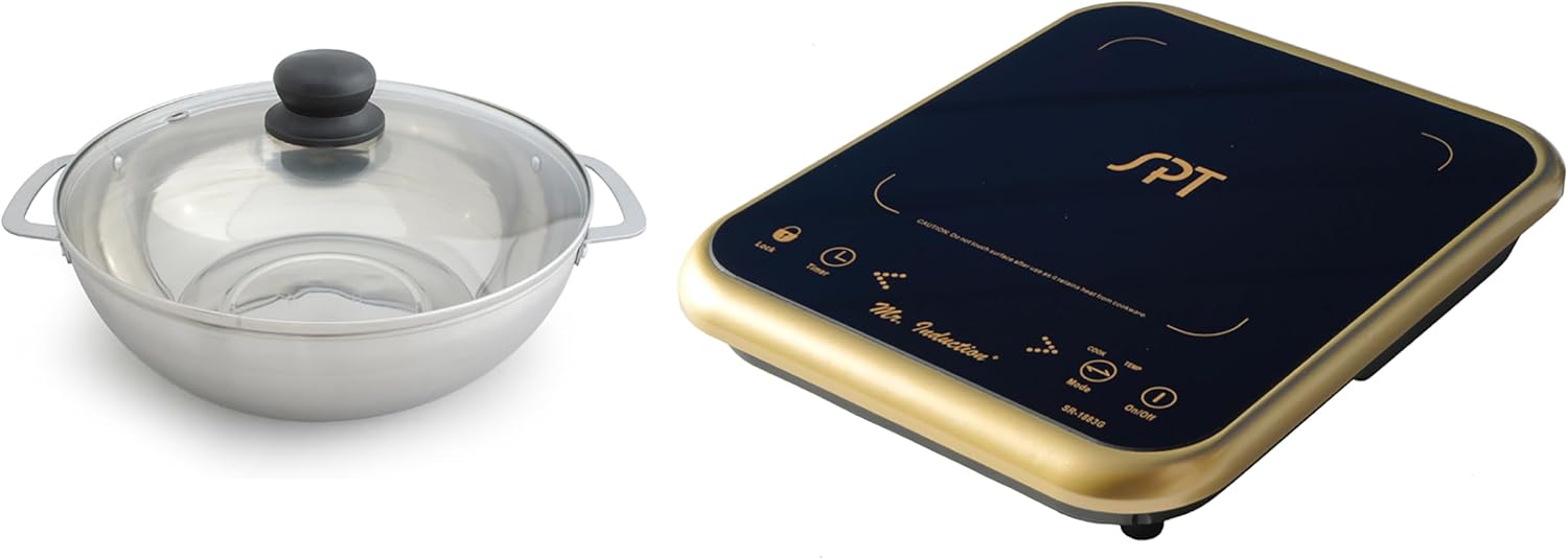 Cocina de Inducción Mr. Induction 1650W con Olla Acero Inoxidable