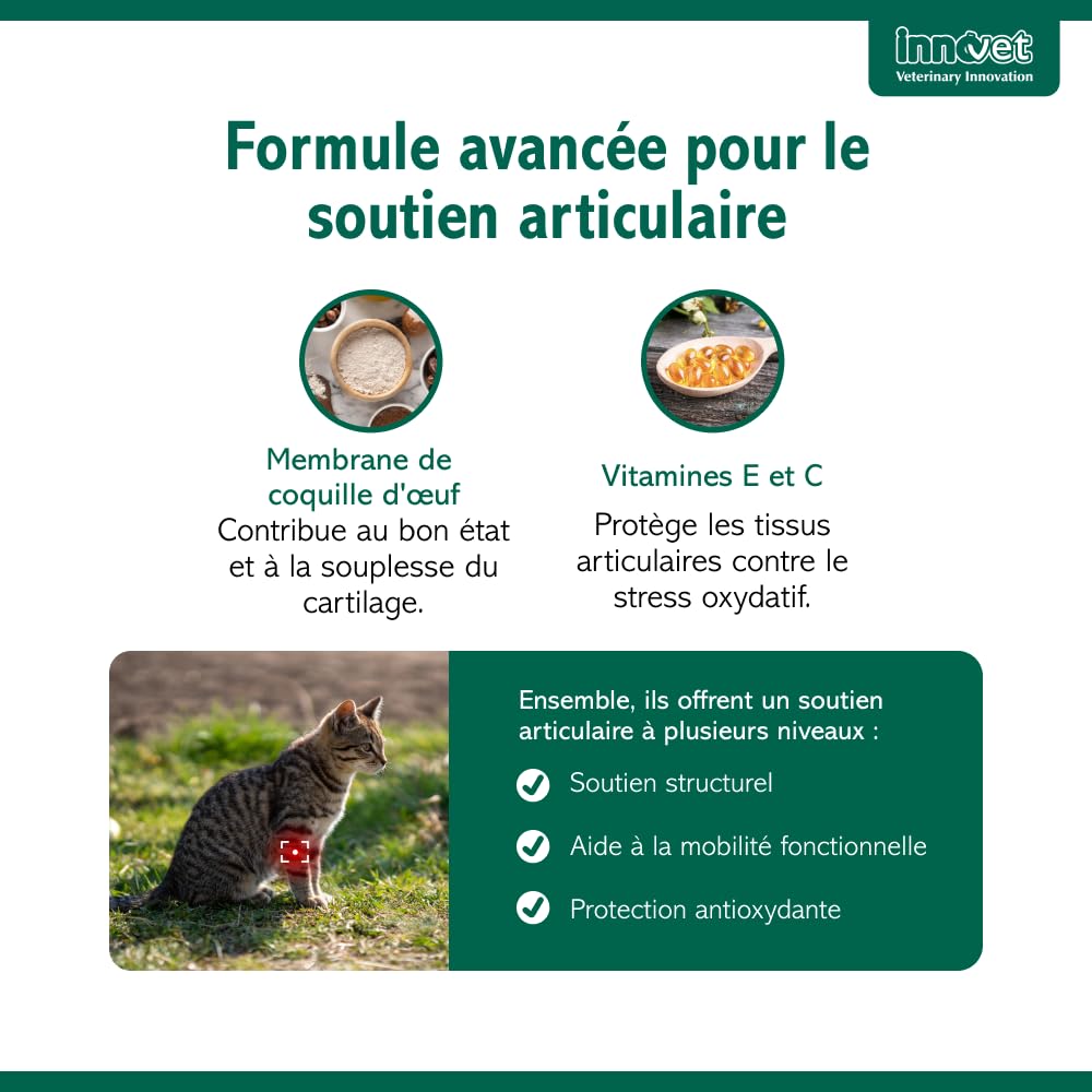 Innovet Condrostress (+) Cat - Complément Alimentaire Articulaire pour Chats Adultes et Âgés, Confort Articulaire, Mobilité, Collagène, Chondroïtine, Acide Hyaluronique, Facile à Donner - 30 gélules