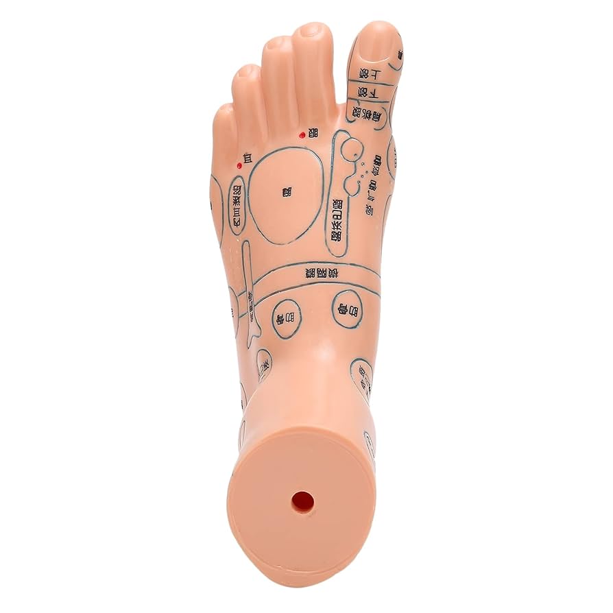 手根・足根針 手根・足根針 61wnSl-vpJS._UF894,1000_QL80_.jpg