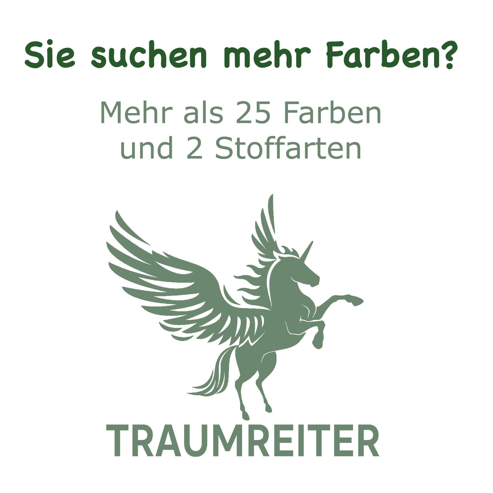 Traumreiter BEZUG für Jumbo XXL und Visco XXL Seitenschläferkissen, Kissenbezug (Apfelgrün)