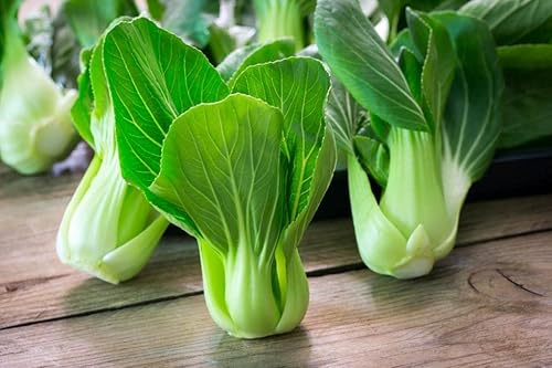 Semillas Col China Bok Choy No GMO Heirloom