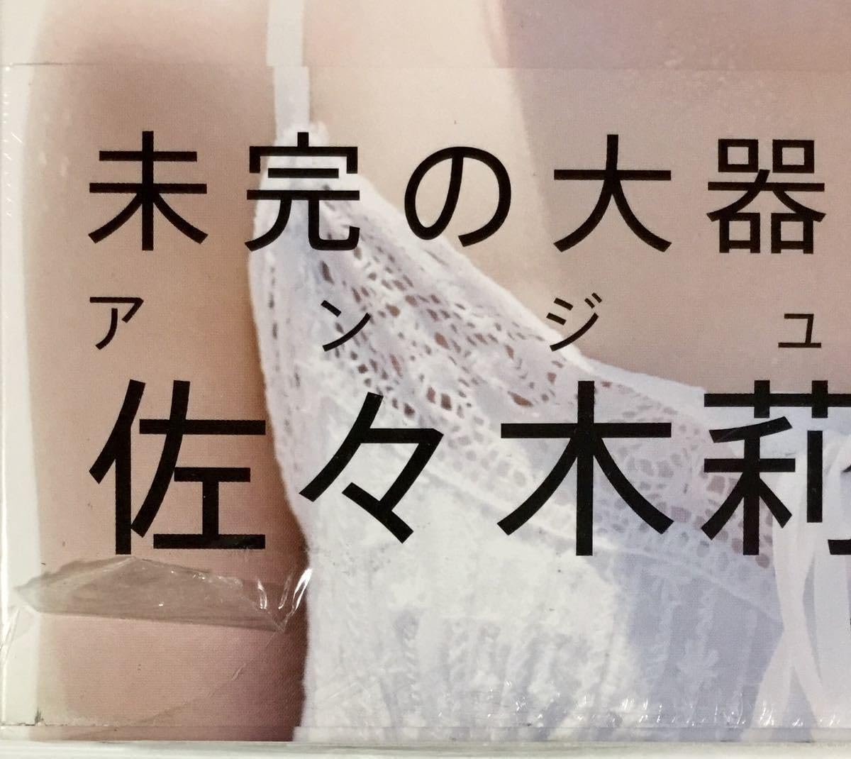 Amazon.co.jp: 佐々木莉佳子 写真集 RIKAKO メイキング付