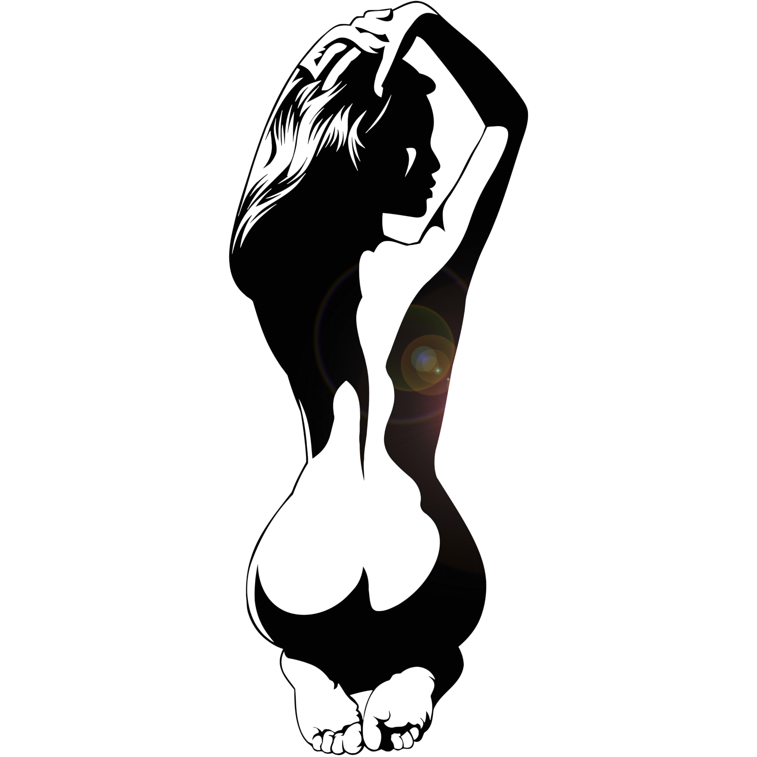 Vinyl Wall Decal Naked Woman Sexy Back Girl Hot Stickers Large Decor (2053ig) Black