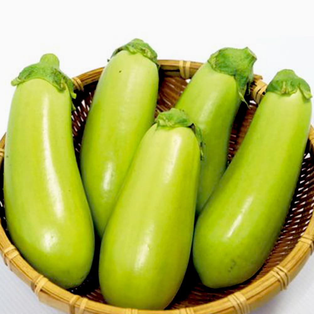 Amazon.co.jp: ITANSE ナス苗 トロトロ緑なすび(中長タイプ