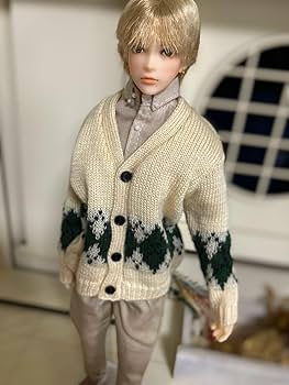 Amazon.co.jp: カスタムドール 六分の一男子図鑑エイトカスタム