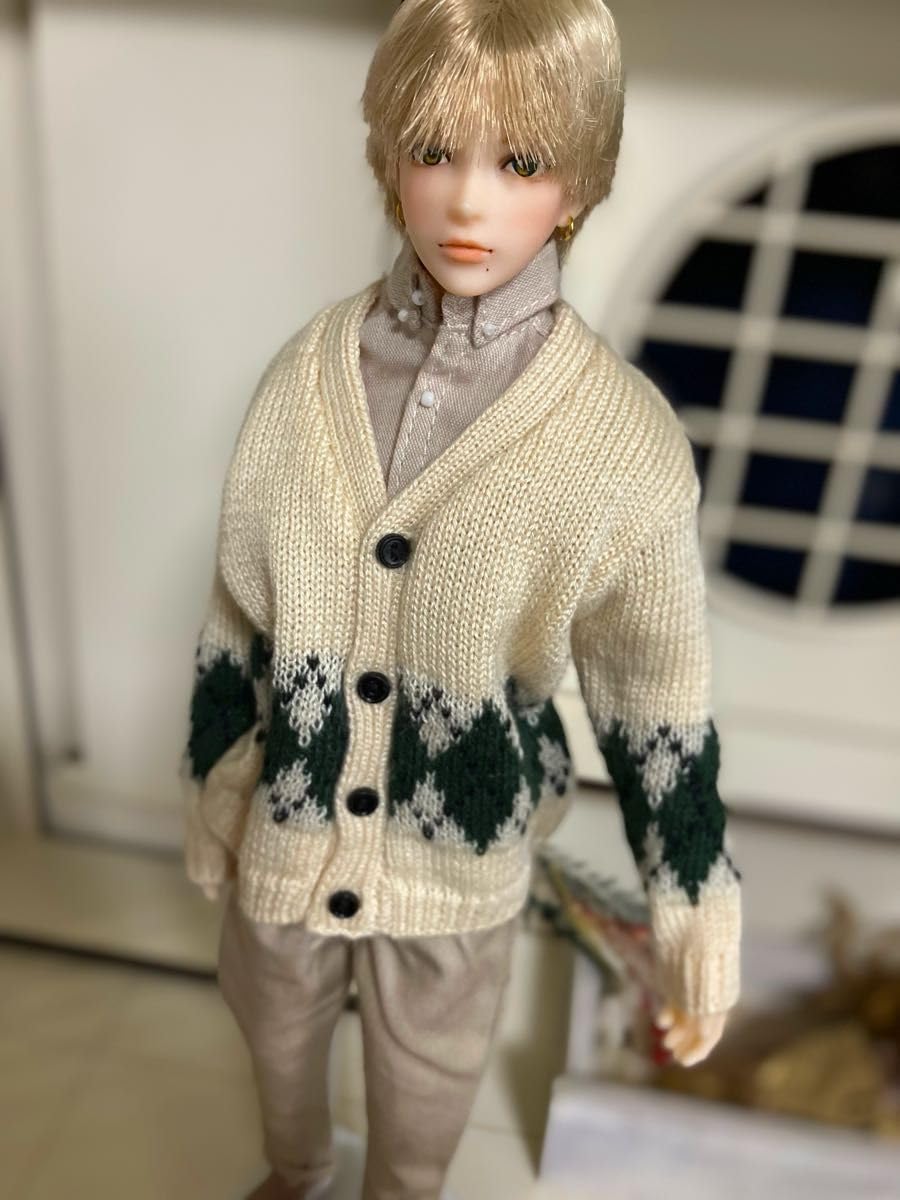 Amazon.co.jp: カスタムドール 六分の一男子図鑑エイトカスタム : おもちゃ