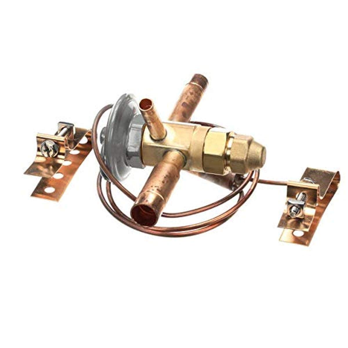 Amazon.com: Federal Industries (FEDF2) Thermo Expansion Valve R