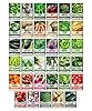 Gardeners Basics Survival Vegetable Seeds Garden Kit Over 16,000 Seeds Non-GMO and Heirloom, Great for Emergency Bugout Survival Gear 35 Varieties Seeds for Planting Vegetables 35 Free Plant Markers #1