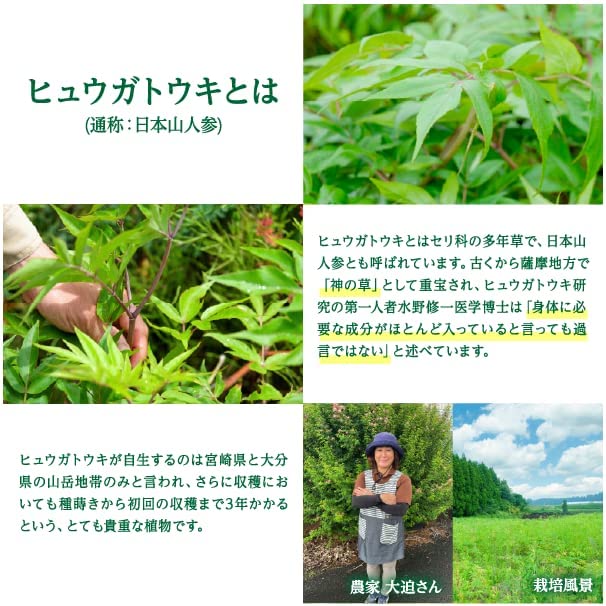 Amazon | メイゲン 日本山人参 機能性表示食品 サプリ 漢方 ヒュウガ 
