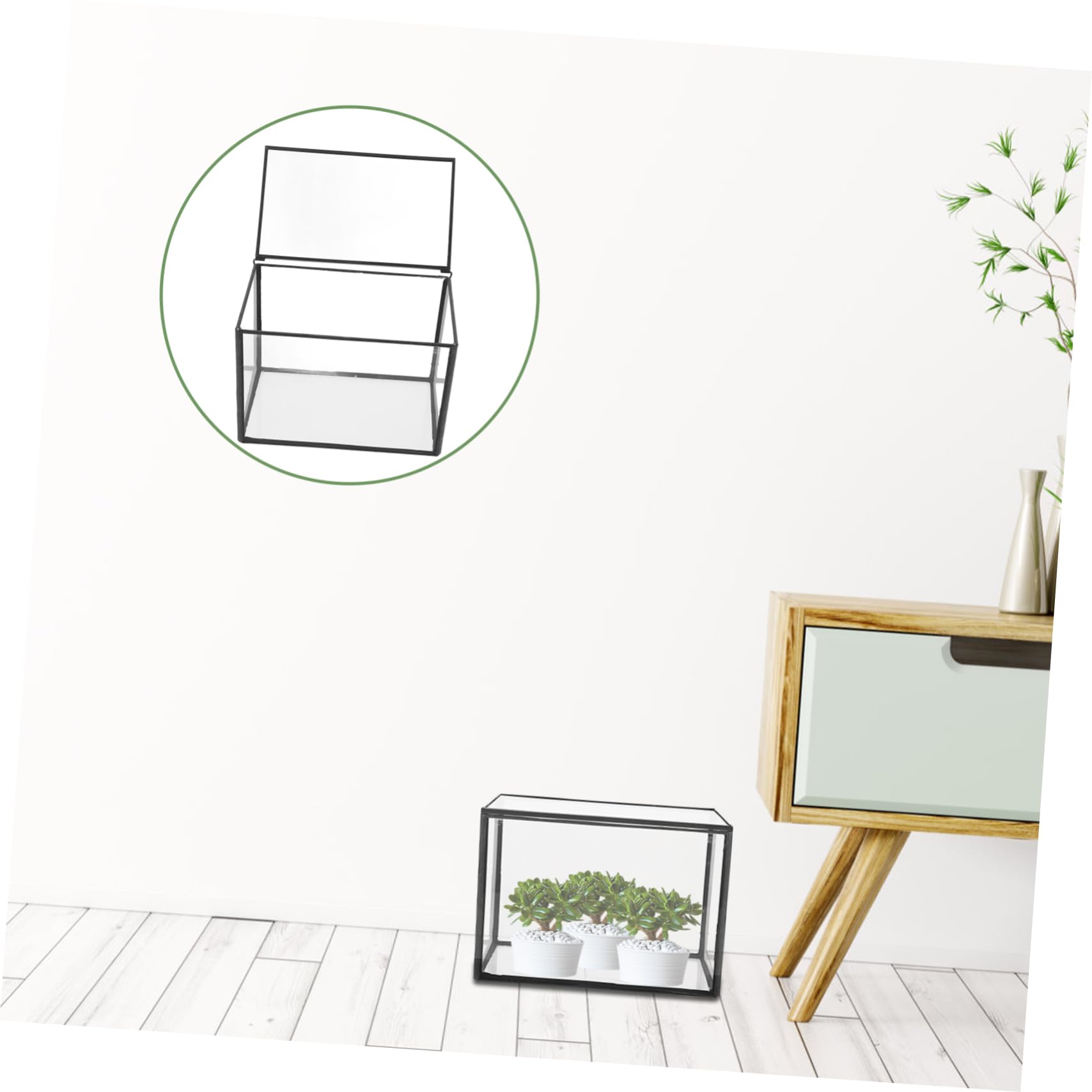 Terrario Per Piante Succulente Contenitore Trasparente Per Paesaggi Design Artistico Per Decorazione Casa e Ufficio Compatte e Leggere Per Progetti e Regali Originali