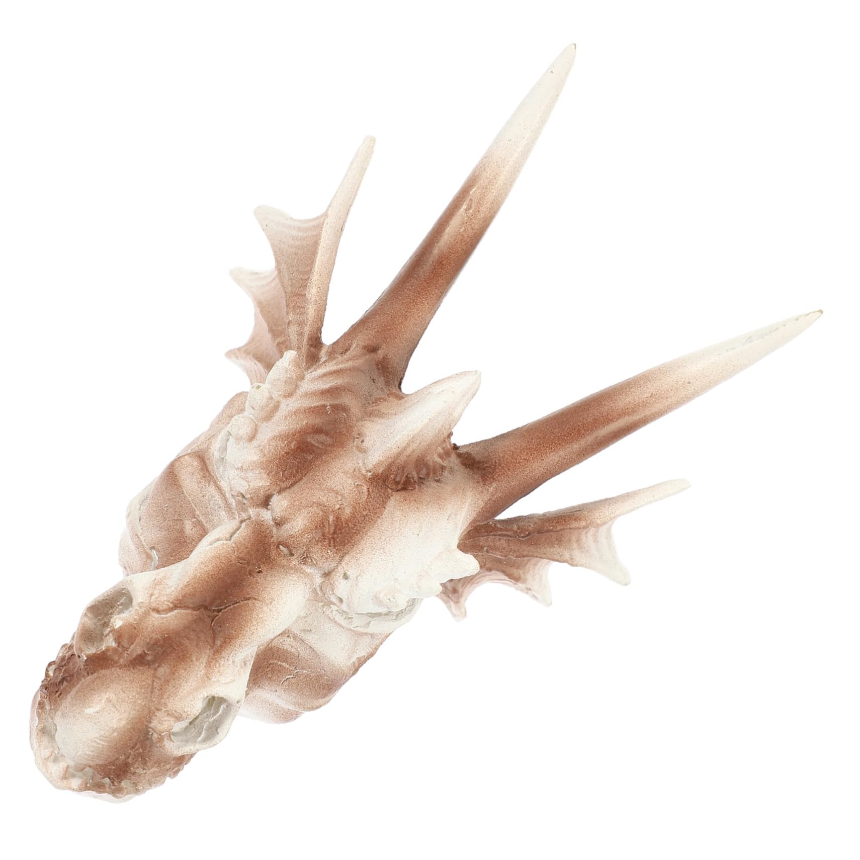 Didiseaon 3pièces Ornement Forme De Crâne De Dinosaure pour Aquarium Abri Décoratif pour Crevettes Et Poissons Accessoire Aquatique Réaliste pour Décoration sous