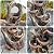 6-Tier Floor Cascading Water Fountain 43.3''H Tree Trunk Waterfall Fountain