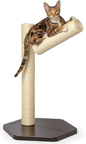 Miniatura 4 de PetFusion Poste de repuesto para percha de escalada para ventana de gato (1 de 3) para percha de ventana de gato