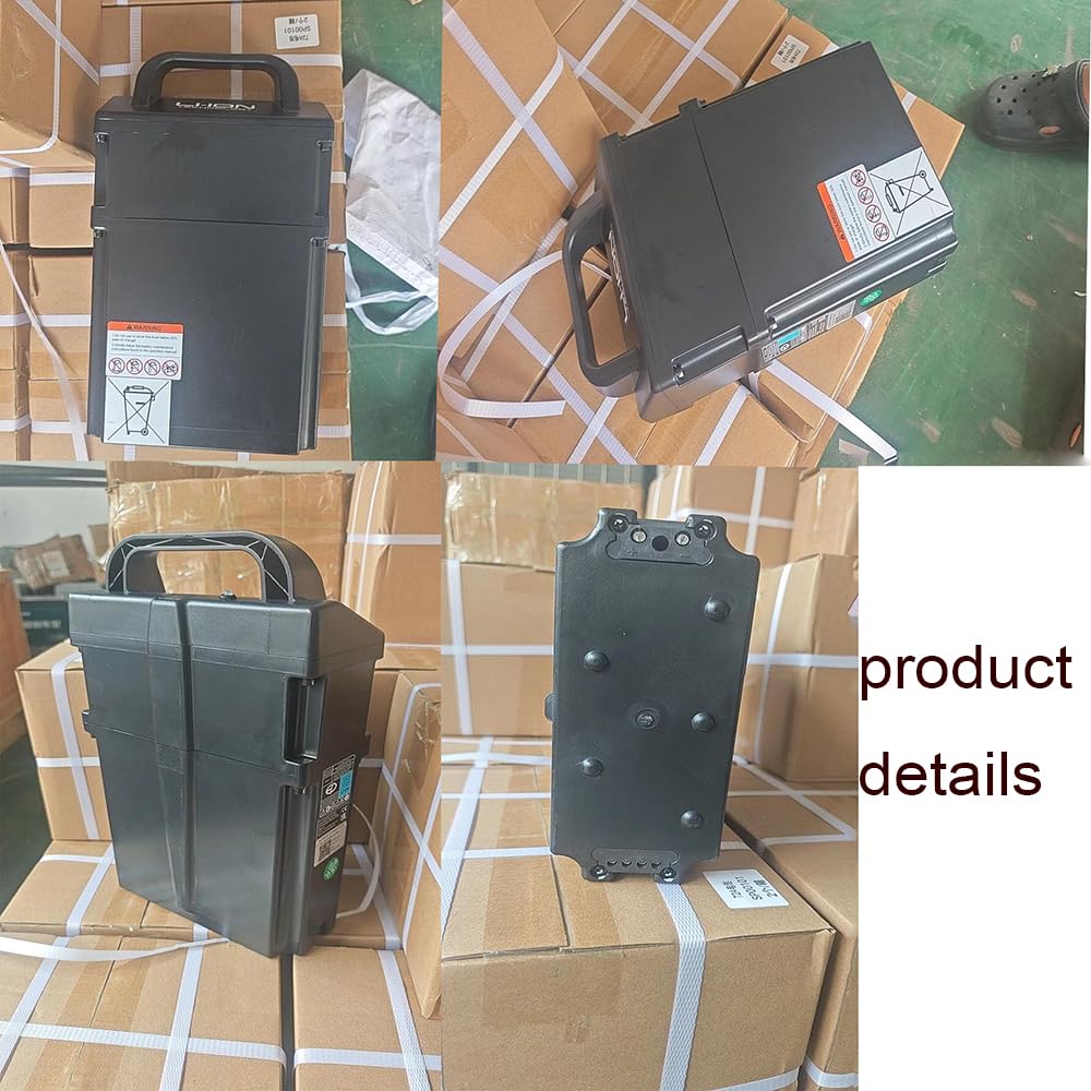 Batteria per Carrello elevatore Elettrico da 24 V 20 Ah, batterie al Litio per transpallet da 24 Volt con Maniglia per Motore di impilatore per Camion.,with Light