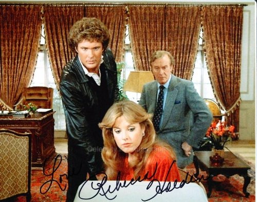 US TV Autographs REBECCA HOLDEN as April Curtis - Knight Rider GENUINE AUTOGRAPH