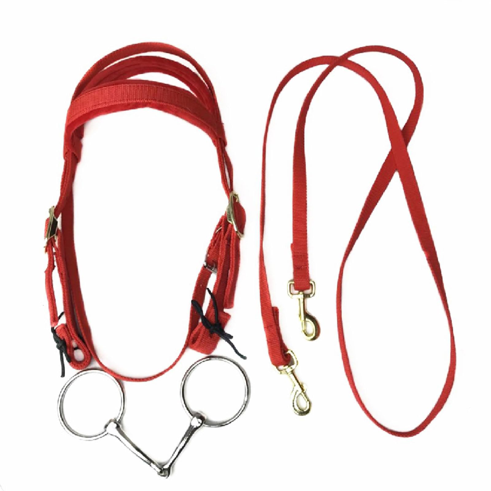 Cabestro para Caballos,Horse Halter Brida con riendas,Cabestro Acolchado,Ajustable de Cuerda Resistente,Material Suave y Totalmente Ajustable,para Entrenamiento y Competición