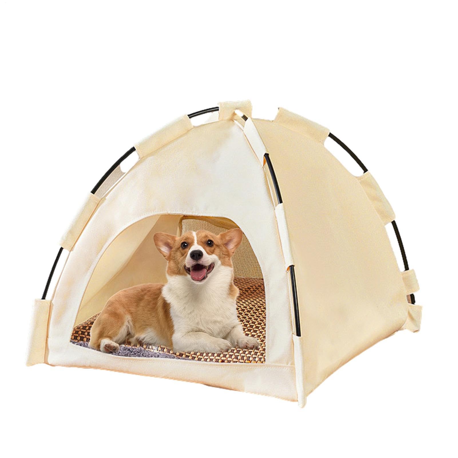 View 8