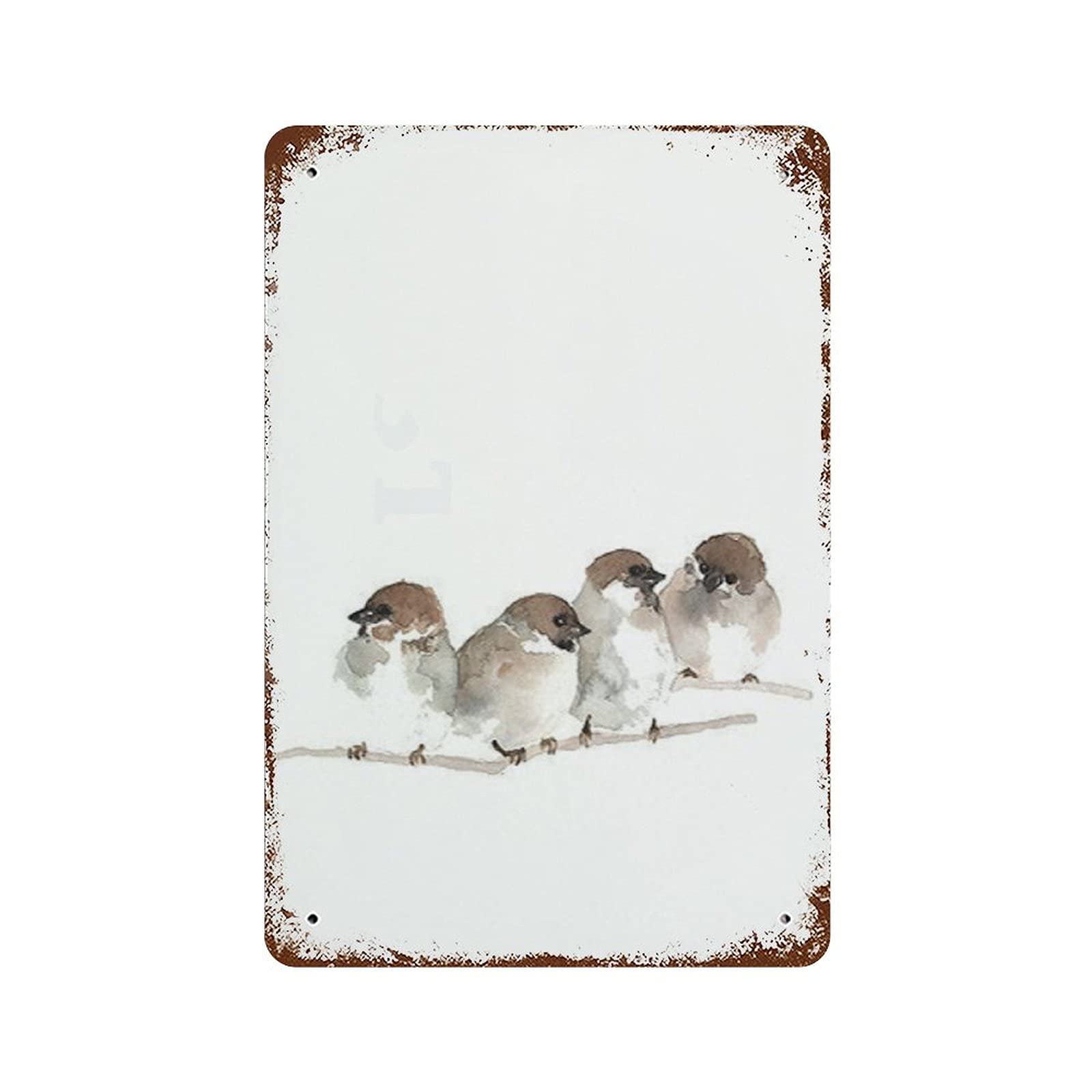 Anique Tin Sign Birds Print Birds Ornament Birds House Decor Birds Art Wall Sign Bird Watercolor Sparrow Figurine Beige White Decor 8x5.5 Inch