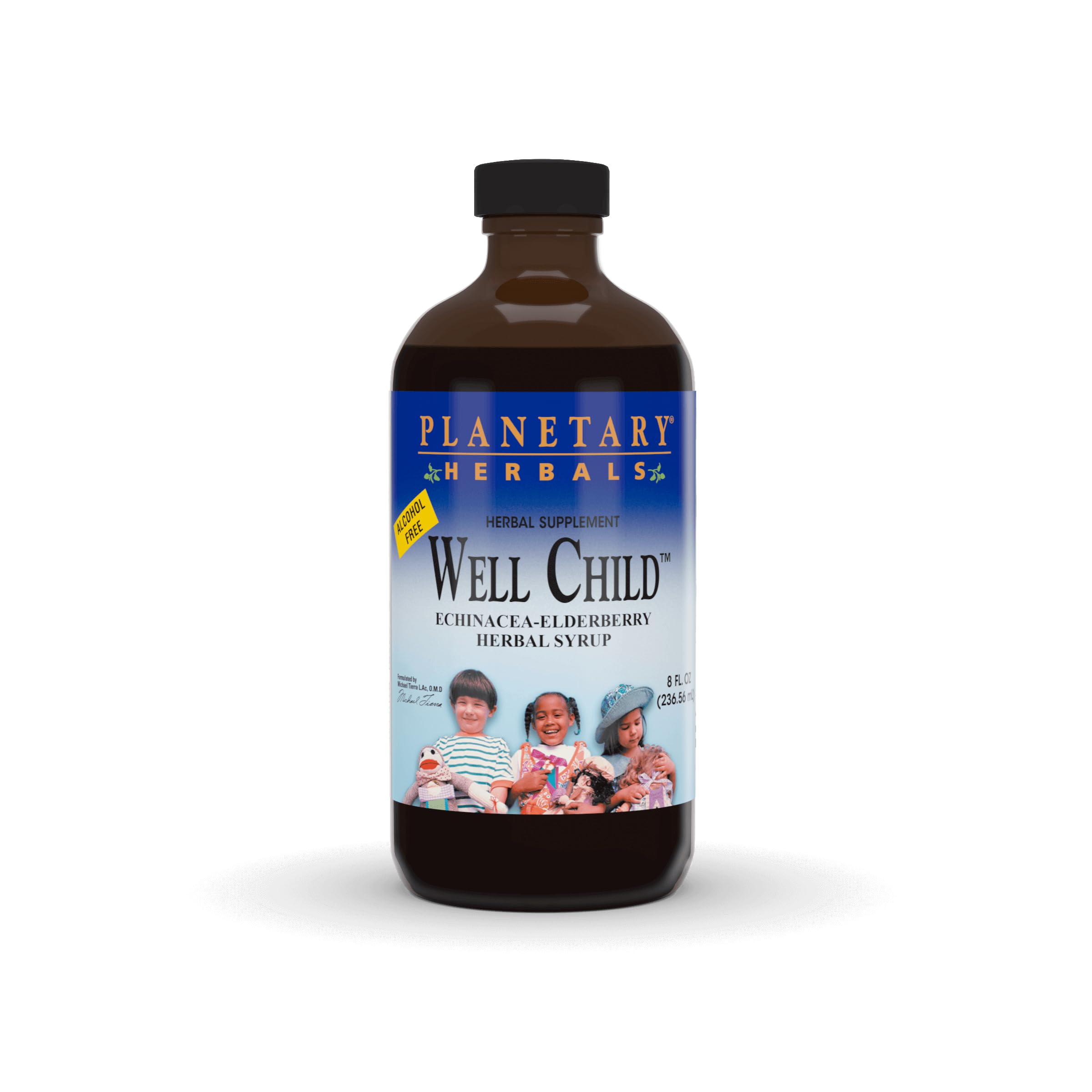 Planetary Formulas Well Child, Echinacea-Elderberry Syrup, 8 fl oz (236.56 ml)