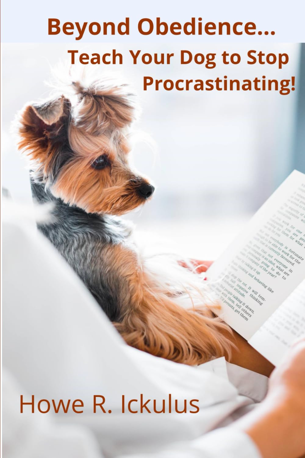 Beyond Obedience... Teach Your Dog to Stop Procrastinating!