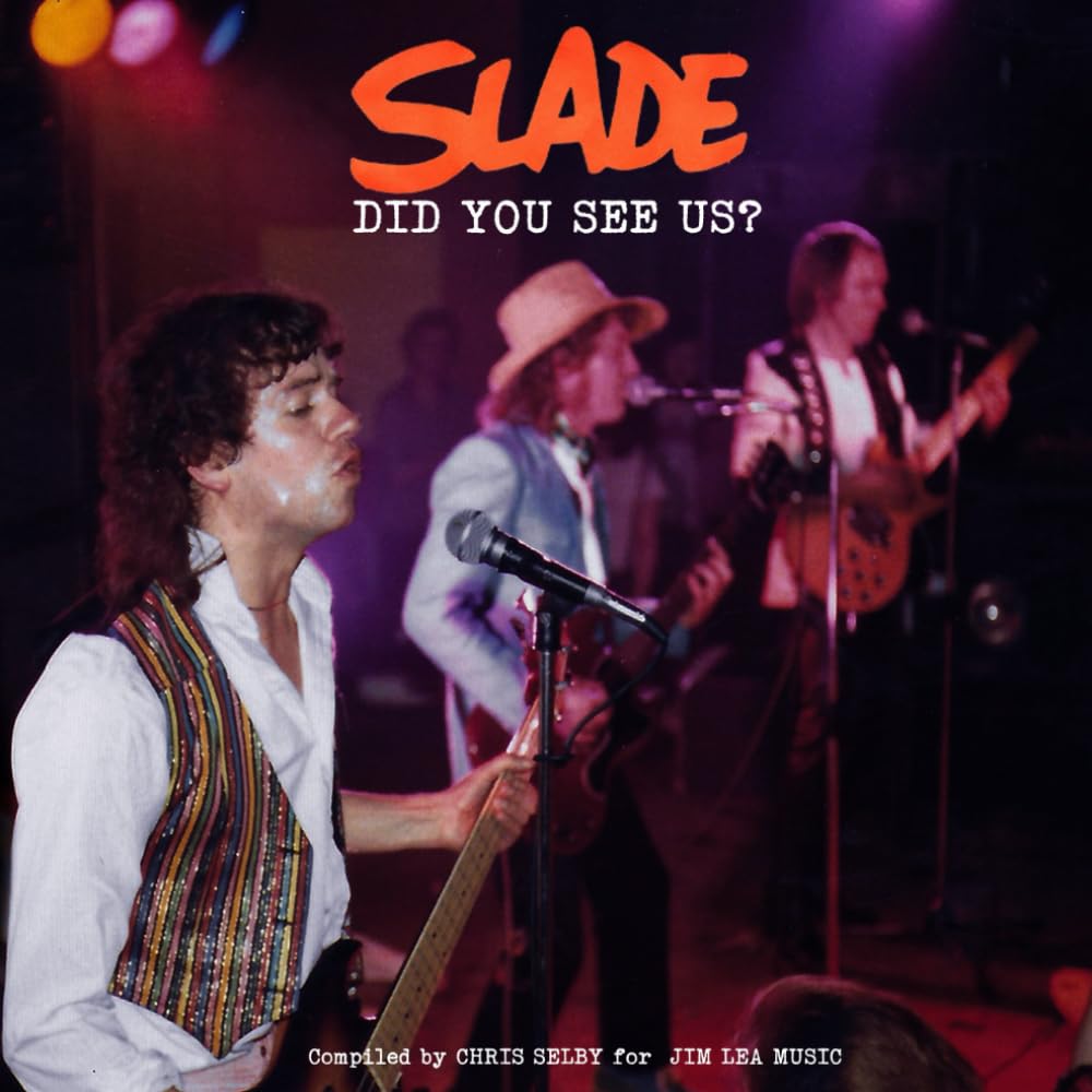 DID YOU SEE US?: By the fans for the fans (NOIZE SLADE BOOKS)
