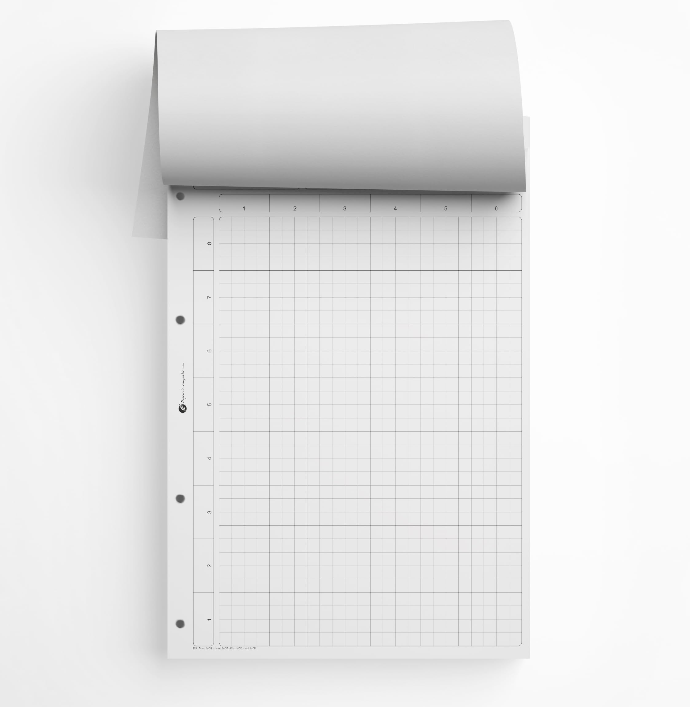 Bloc comptable Contrôle Interne - lot de 10 - blanc - 80 pages