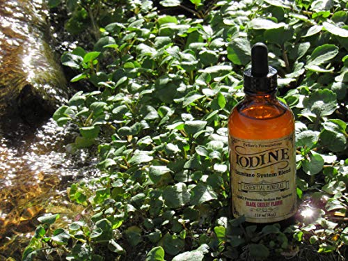Fathers Formulations Iodine Supplement Drops 4Oz - Great Tasting, Highly Absorbable, Immune System For Thyroid Support, Focus & Energy #TOP7