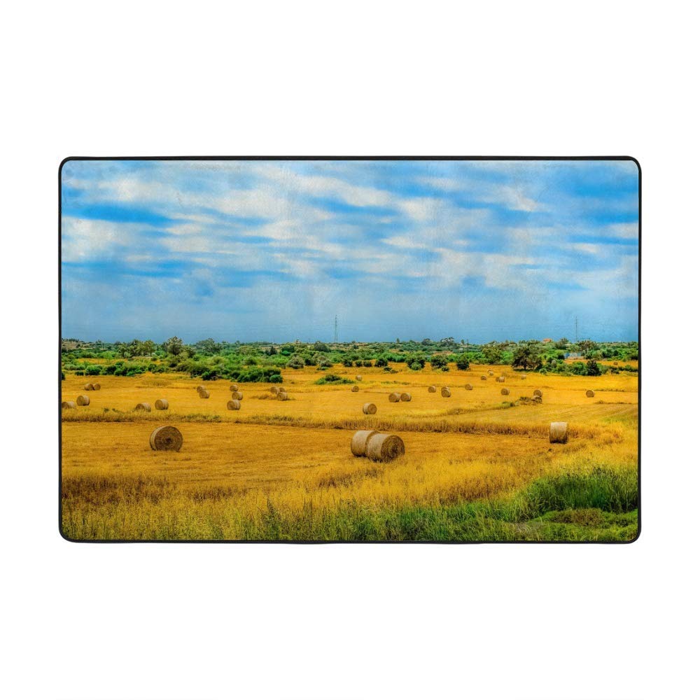 Tapis de salon paysage de blé en velours corail Ruchen 203x147 cm