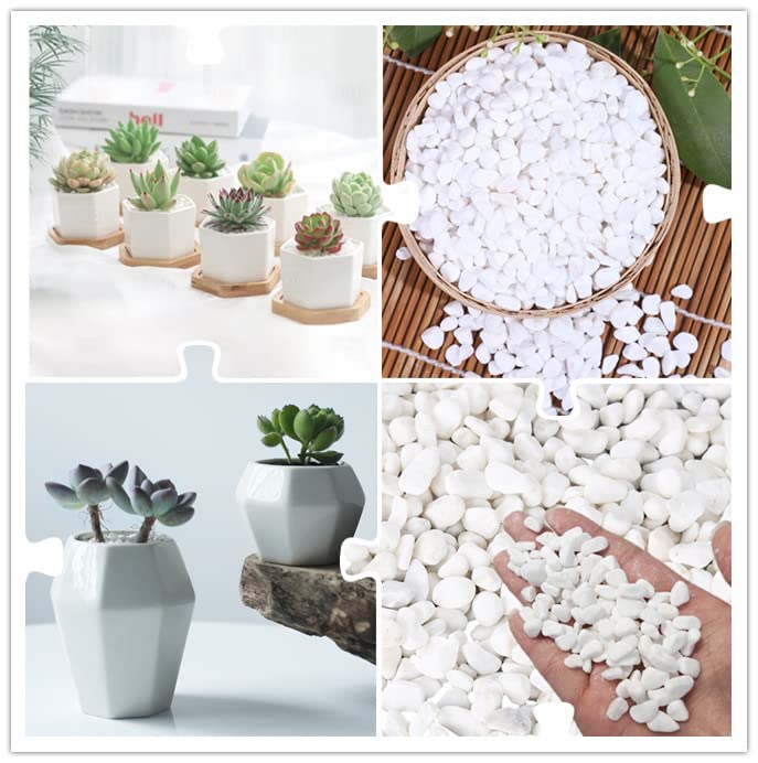 Amazon.co.jp: ZHUDDONG 3ポンド ホワイトストーン 水槽用 白石 水槽