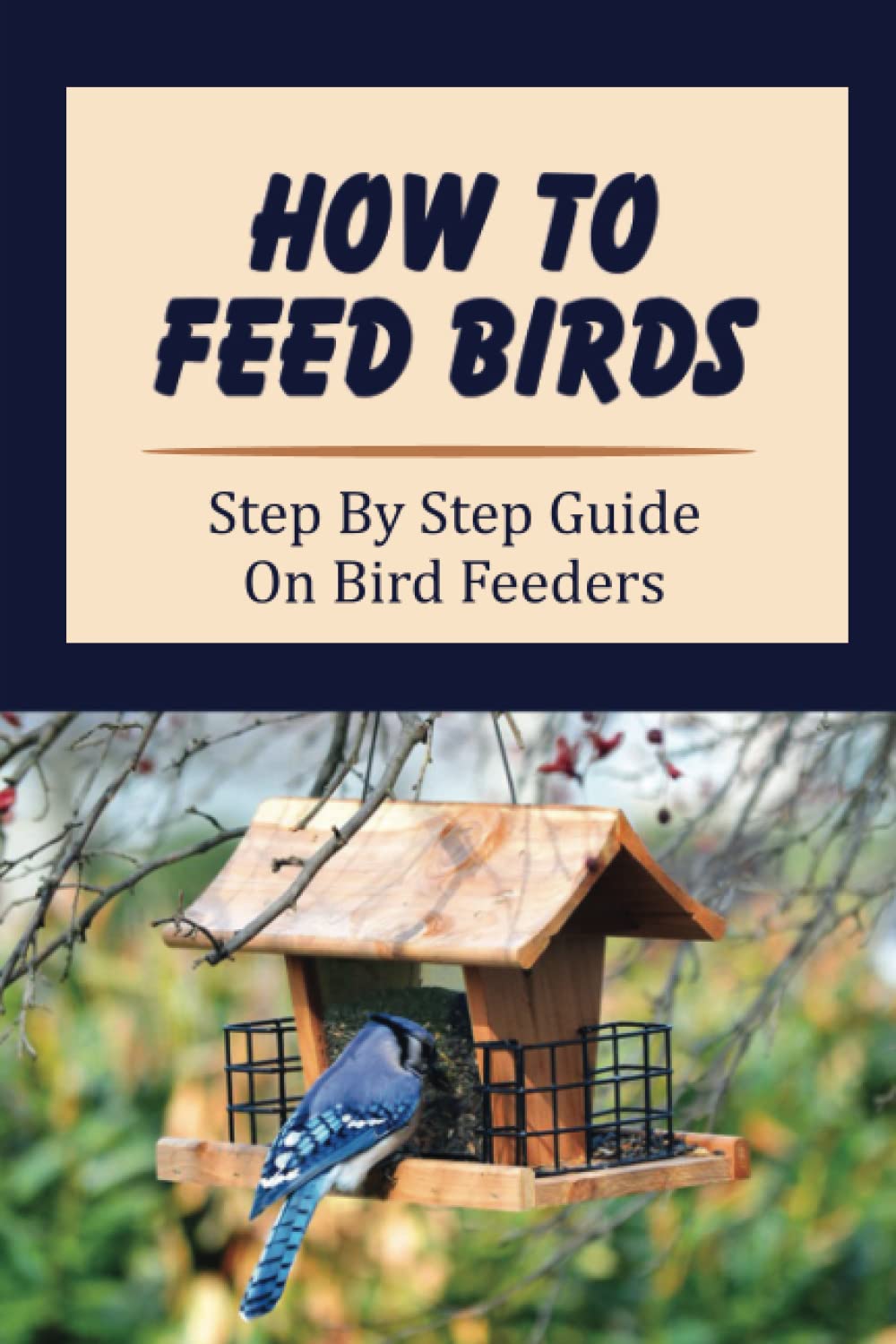 How To Feed Birds: Step By Step Guide On Bird Feeders