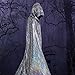 Rbenxia Silver Shiny Hooded Cape Unisex Full Length Cloak Party Robe Cape Mardi Gras Halloween Christmas Costume for Men and Women (Small)